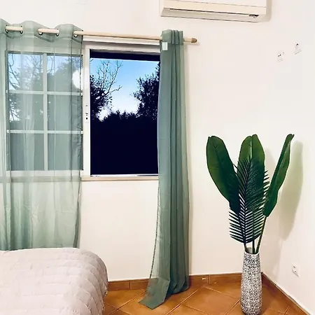 Olive Villa Villa *