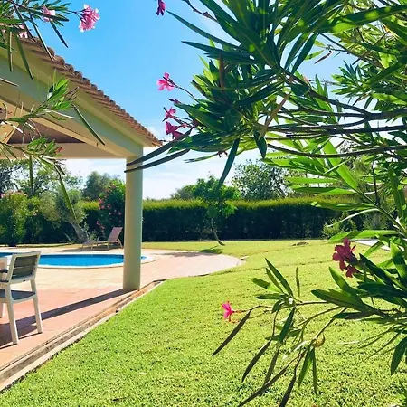 Olive Villa