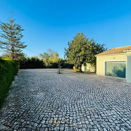 Olive Villa Villa *